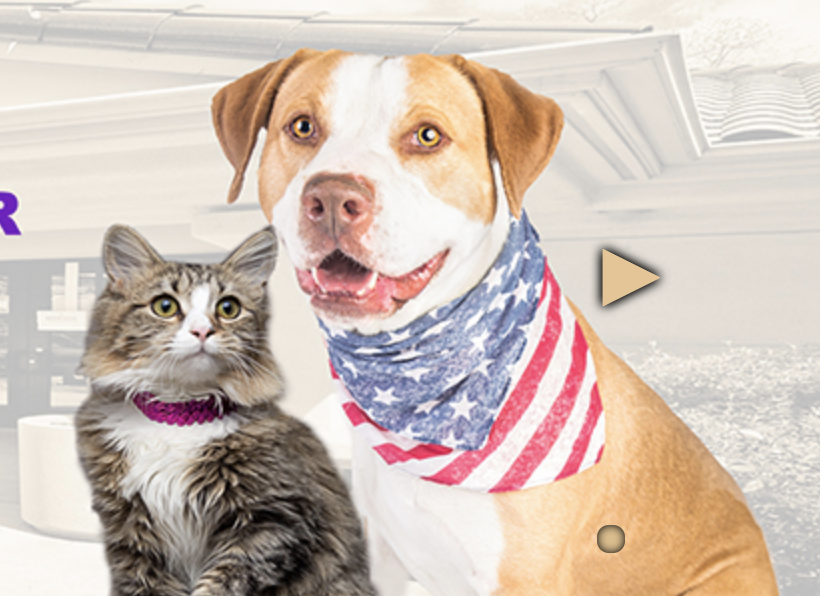 Animal Care Services Sacramento veterinarios gratis california