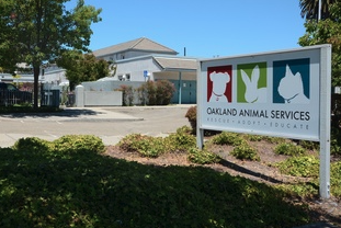 Friends of Oakland Animal Services veterinarios gratis en los angeles