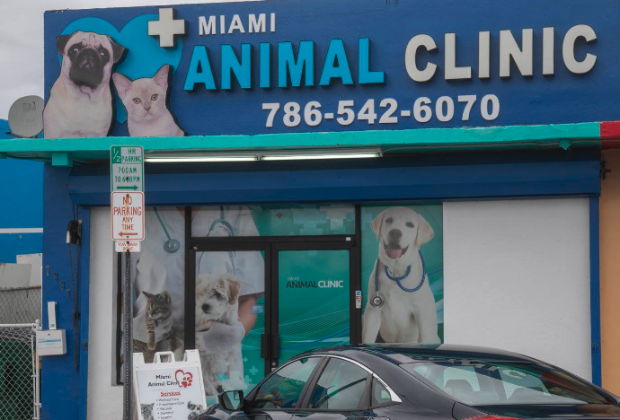 Miami Animal Clinic Veterinarios gratis en Miami
