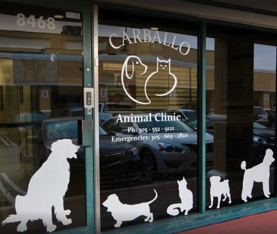 Carballo Animal Clinic Veterinarios gratis en Miami