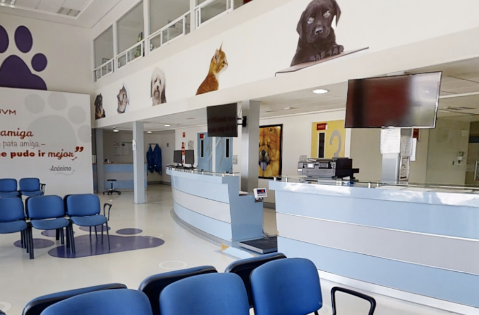 veterinarios gratis en Coyoacánhttp://veterinarios.antirrabico.com.mx/wp-content/uploads/2023/07/UVM-Hospital-Veterinario-Universidad-del-Valle-de-Mexico.png