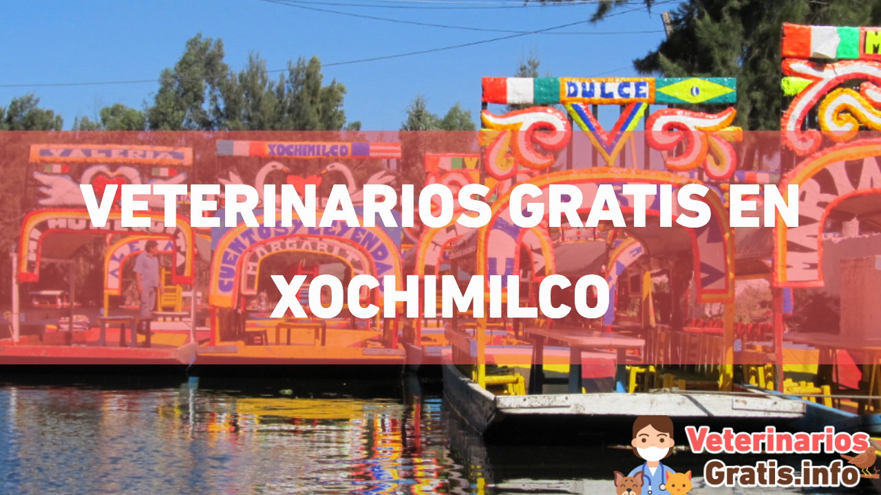 VETERINARIOS GRATIS EN CHOCHIMILCO