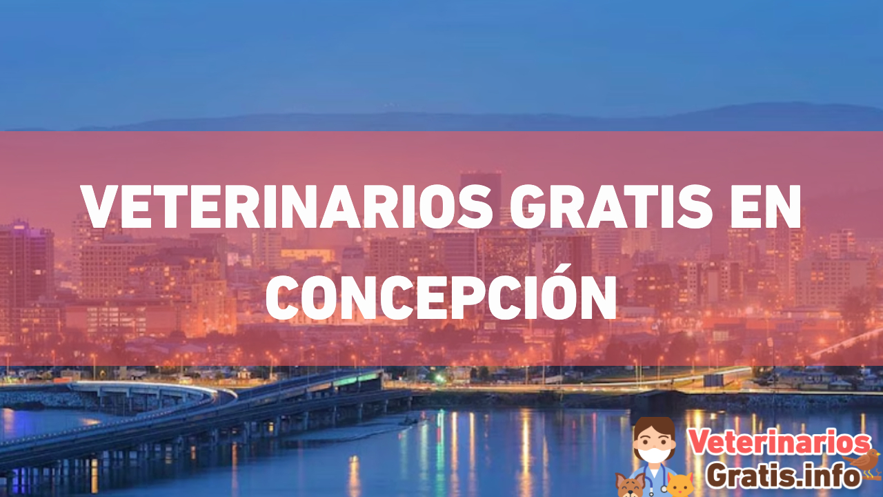 VETERINARIOS GRATIS EN CONCEPCION