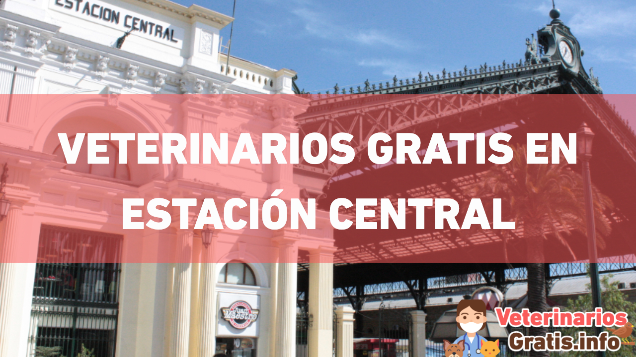 VETERINARIOS GRATIS EN ESTACION CENTRAL