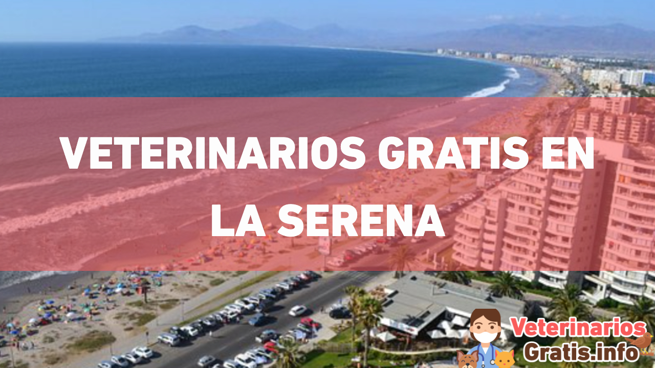 VETERINARIOS GRATIS EN LA SERENA
