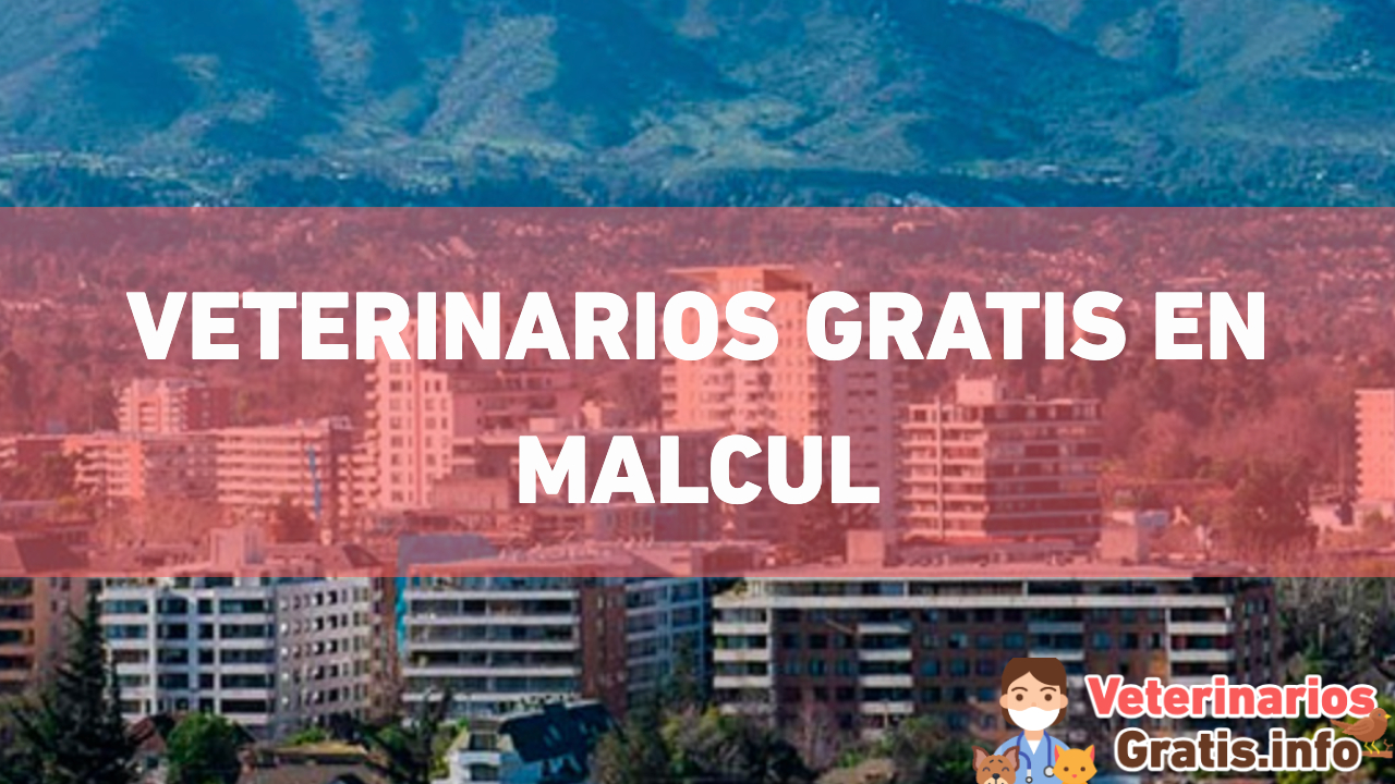 VETERINARIOS GRATIS EN MALCUL