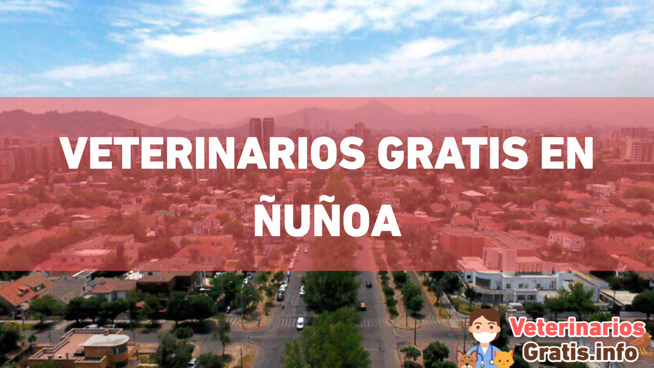 VETERINARIOS GRATIS EN ÑUÑOA