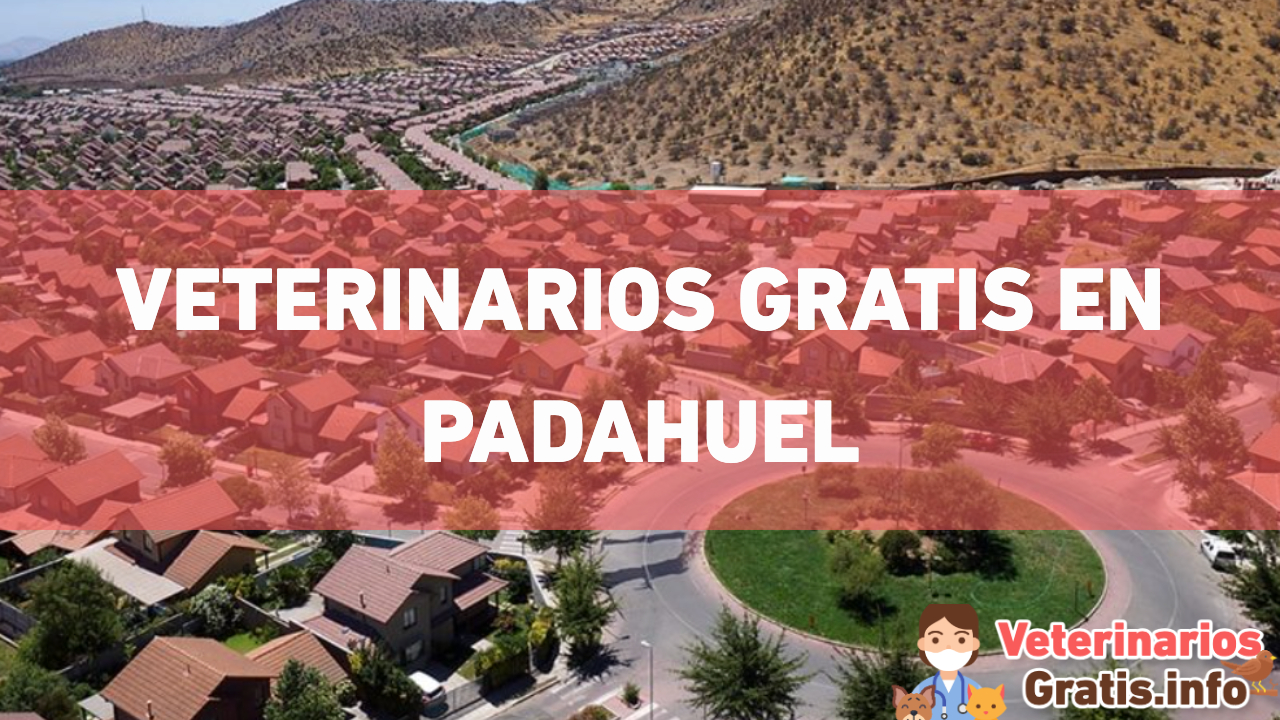 VETERINARIOS GRATIS EN PADAHUEL