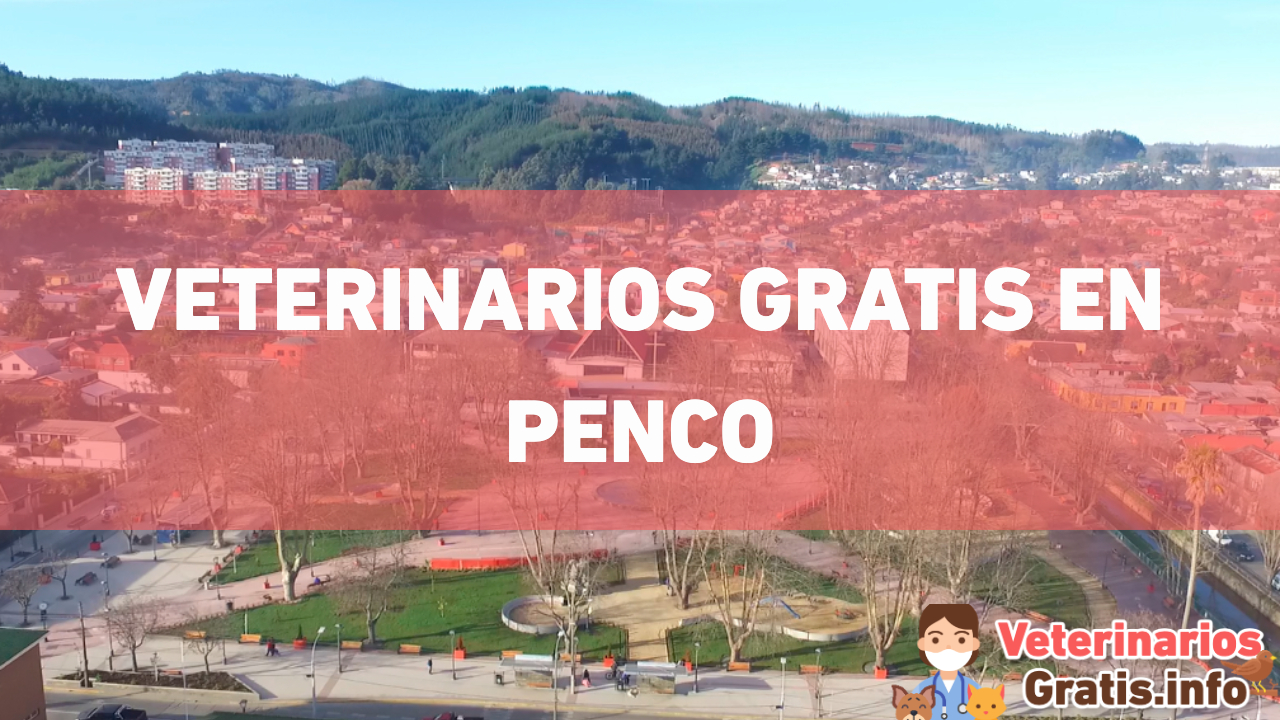 VETERINARIOS GRATIS EN PENCO
