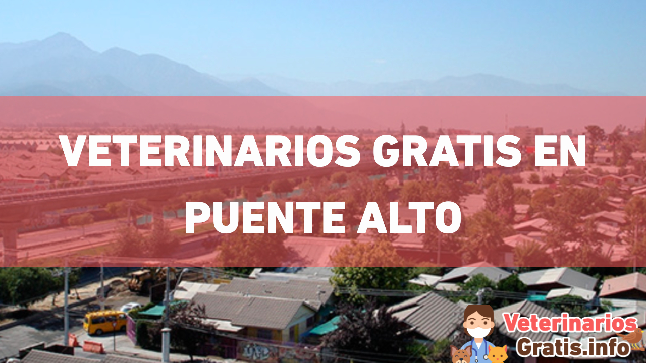VETERINARIOS GRATIS EN PUENTE ALTO