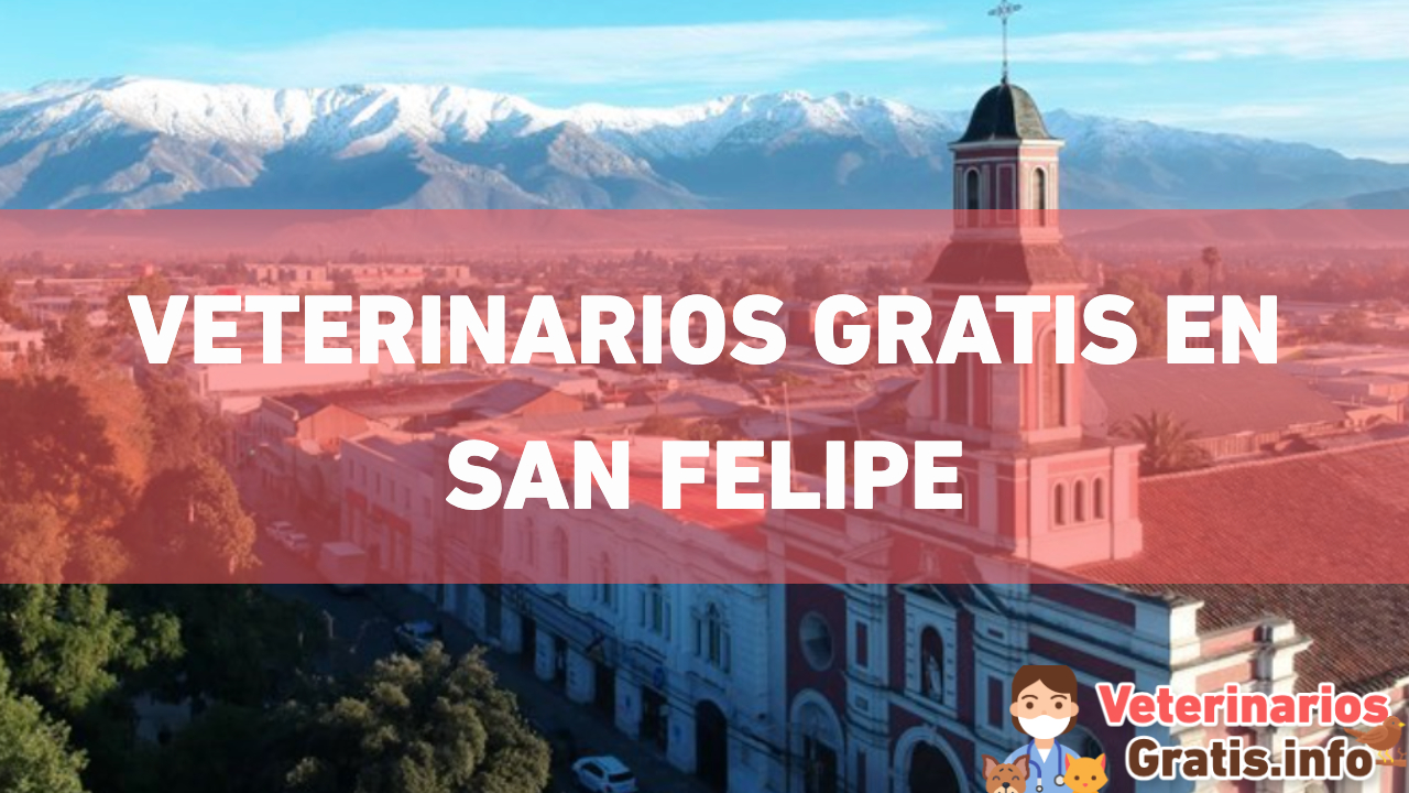 VETERINARIOS GRATIS EN SAN FELIPE