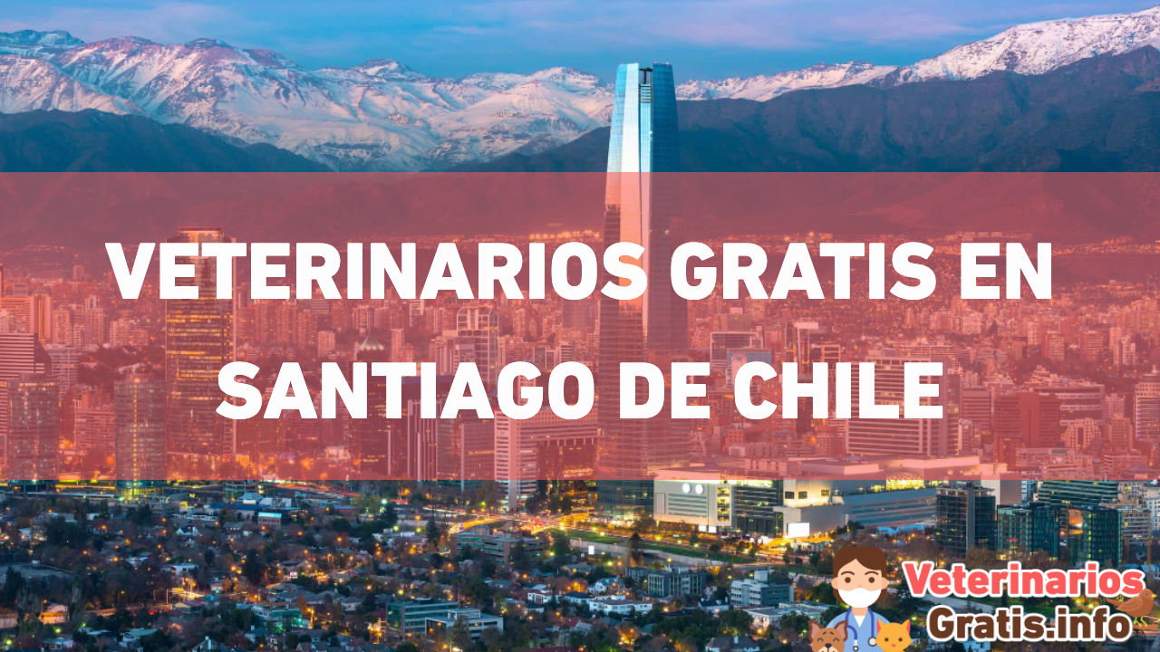 VETERINARIOS GRATIS EN SANTIAGO DE CHILE