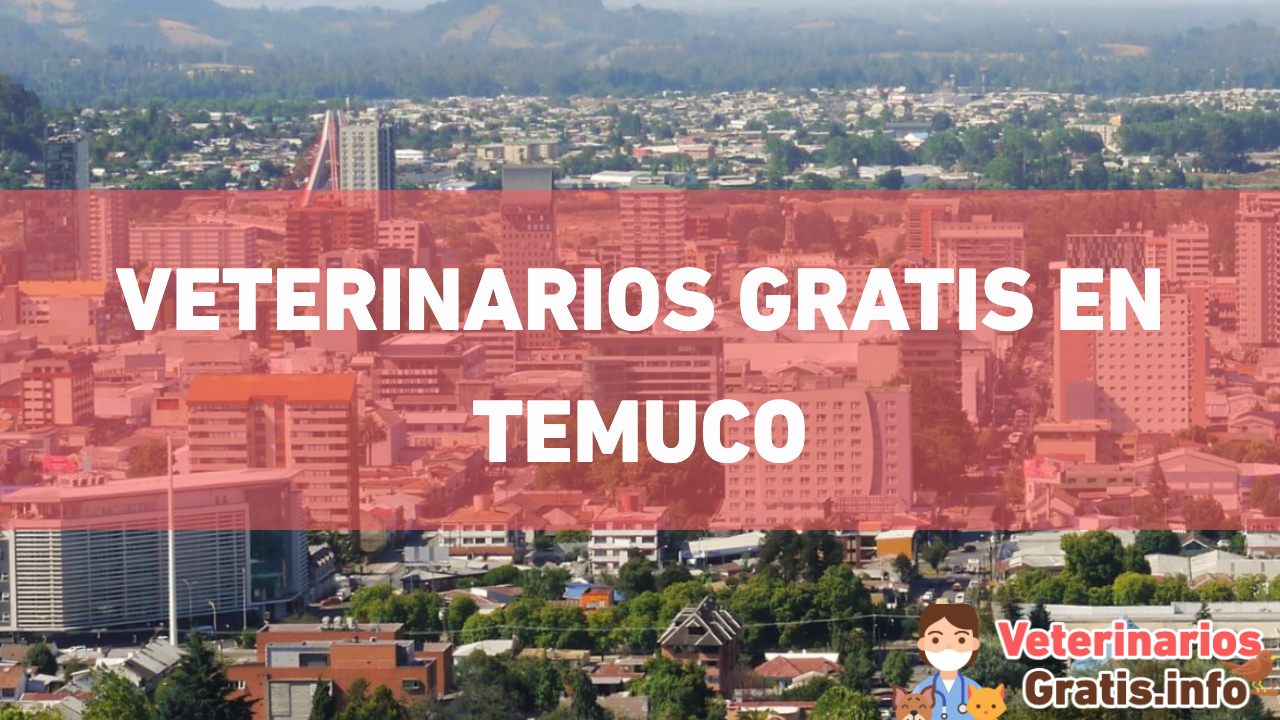 VETERINARIOS GRATIS EN TEMUCO