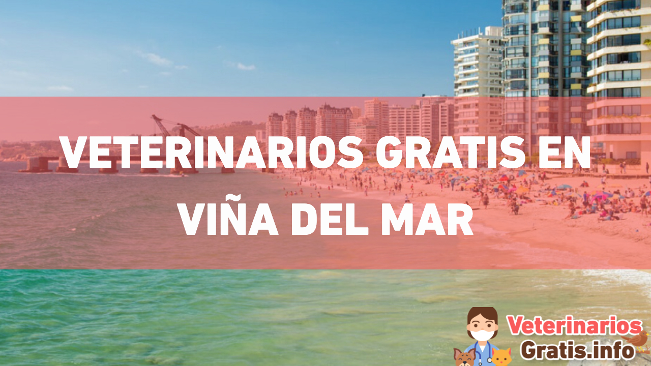 VETERINARIOS GRATIS EN VIÑA DEL MAR